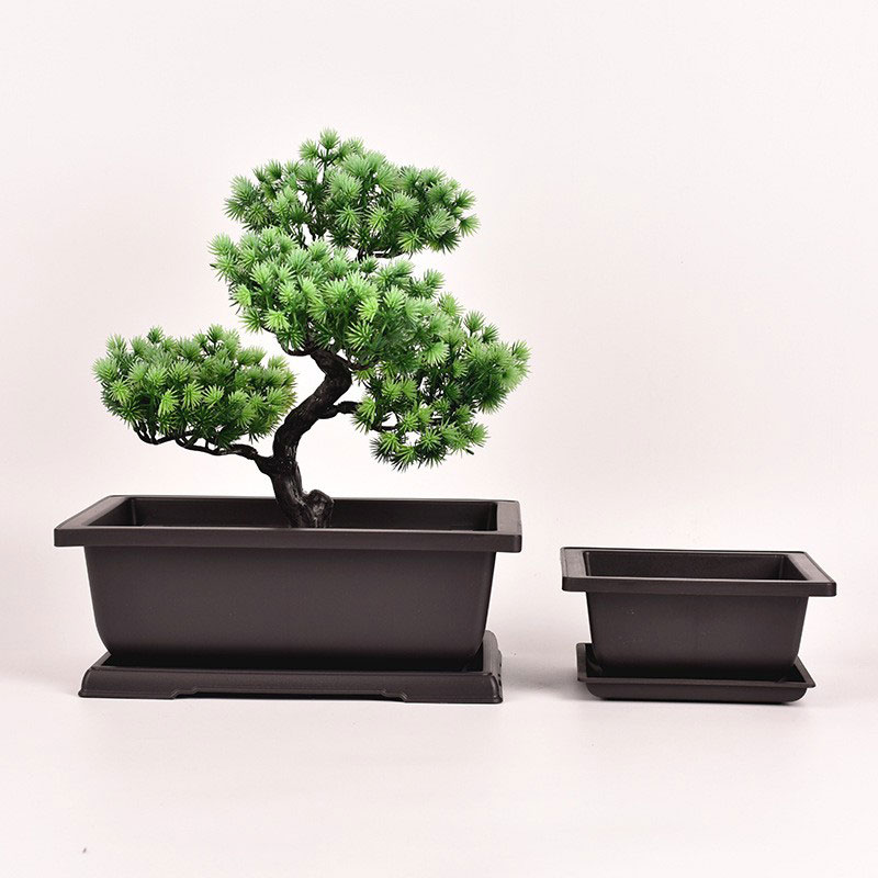 Vaso per bonsai rettangolare